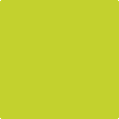 2025-20: Yew Green a paint color by Benjamin Moore avaiable at Clement's Paint in Austin, TX.
