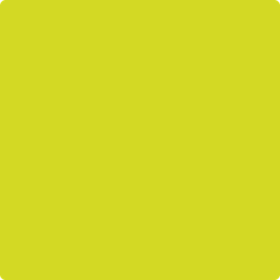 2025-30: New Lime a paint color by Benjamin Moore avaiable at Clement's Paint in Austin, TX.