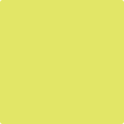 2025-40: Limelight a paint color by Benjamin Moore avaiable at Clement's Paint in Austin, TX.