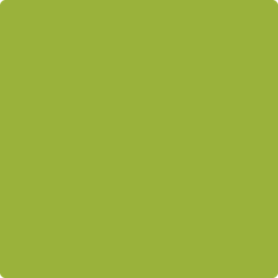 2027-10: Dark Lime a paint color by Benjamin Moore avaiable at Clement's Paint in Austin, TX.