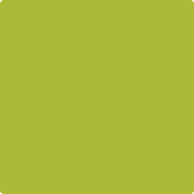 2027-20: Spring Moss a paint color by Benjamin Moore avaiable at Clement's Paint in Austin, TX.