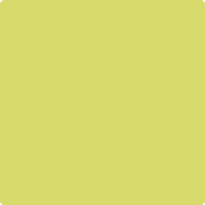 2027-40: Grape Green a paint color by Benjamin Moore avaiable at Clement's Paint in Austin, TX.