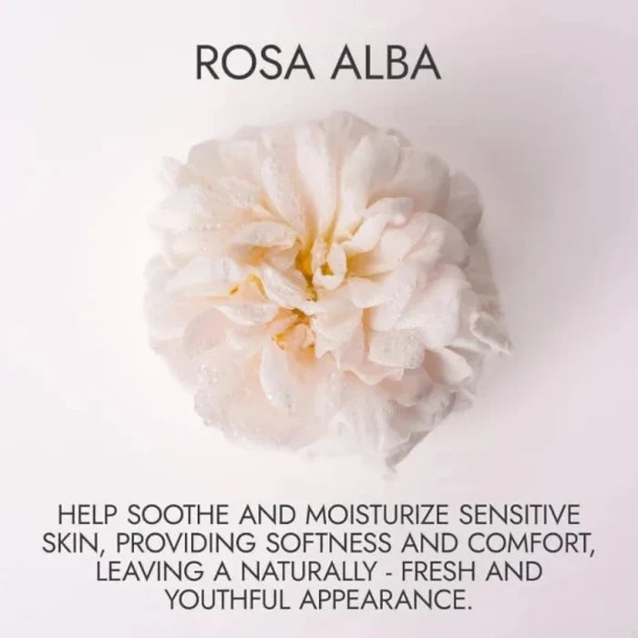 ALTEYA ORGANICS - ALBA WHITE ROSE WATER - 100ML