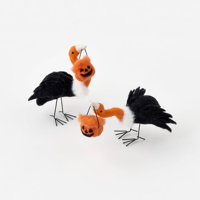 buzzards on white background