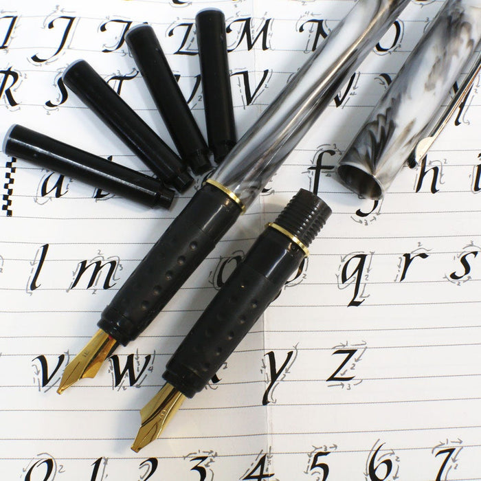 Calligraphy 2 Nib Pen Set Signature 8pc