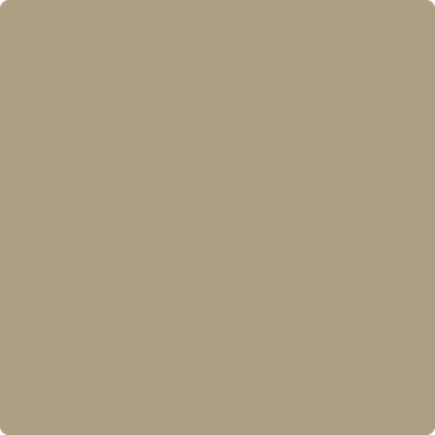 CSP-1040: Shiitake Mushroom a paint color by Benjamin Moore avaiable at Clement's Paint in Austin, TX.