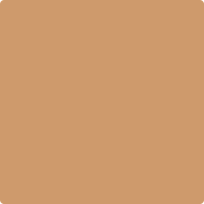 CSP-1070: Warm Sun Glow a paint color by Benjamin Moore avaiable at Clement's Paint in Austin, TX.