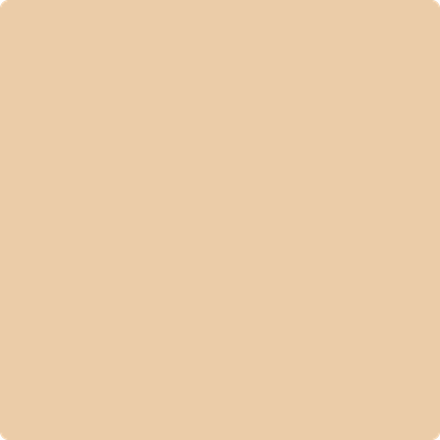 CSP-1085: Face Powder a paint color by Benjamin Moore avaiable at Clement's Paint in Austin, TX.