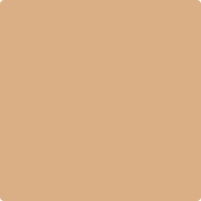CSP-1090: Approaching Autumn a paint color by Benjamin Moore avaiable at Clement's Paint in Austin, TX.