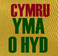 'Cymru Yma o Hyd' Bucket Hat (M/L)