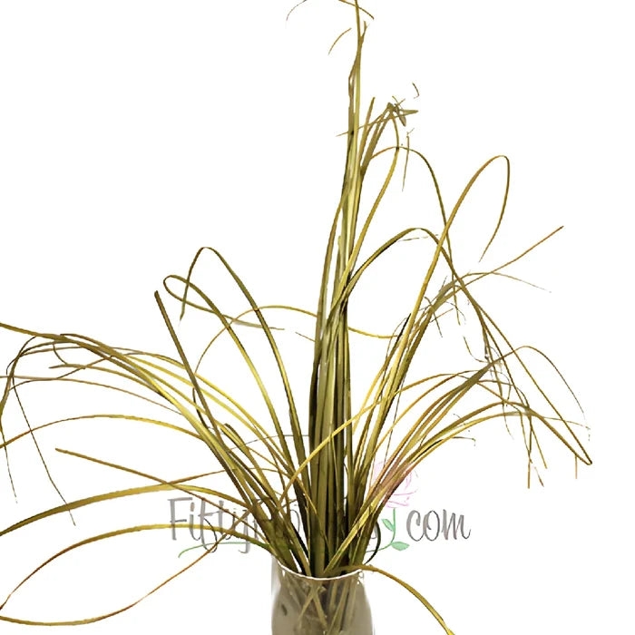 Wholesale greenery gold bear grass filler flower bunch sold as bulk