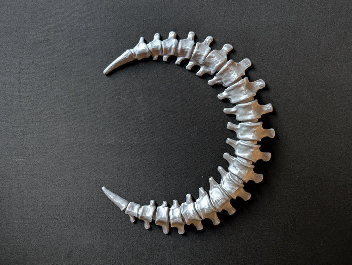 Gothic Anatomy Spine Wall Sculpture - Customizable Elegant Weird Bone Structure