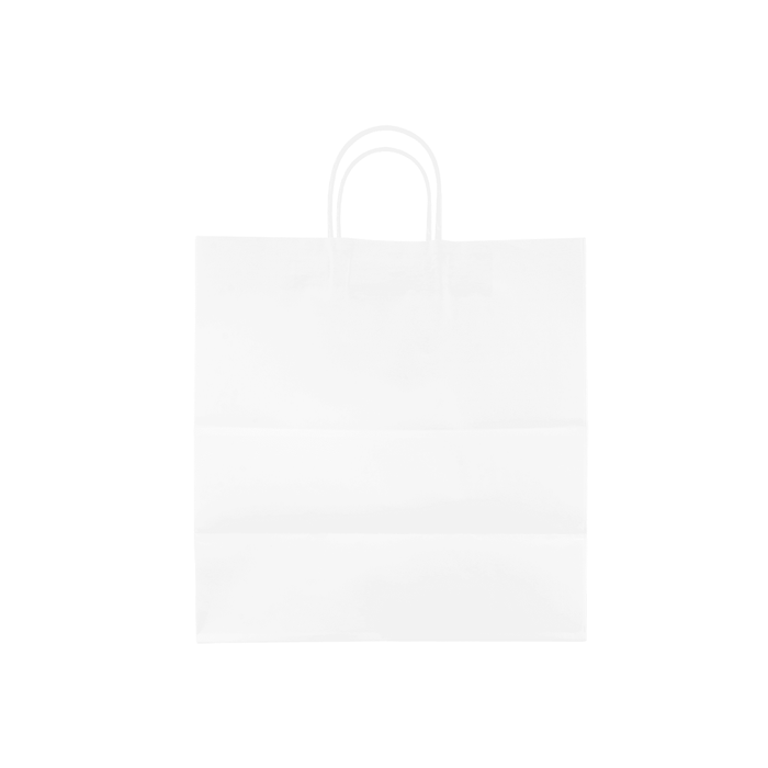 Karat Earth Paper Shopping Bag w/ Handles - Large | 12.2W x 14H x 7.5G | White