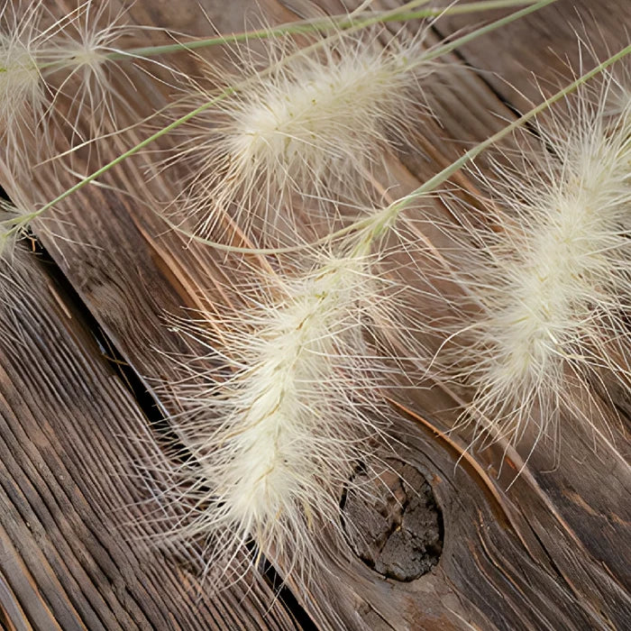 Fresh cut greens little bunny fountain grass filler flowers sold near me for delivery