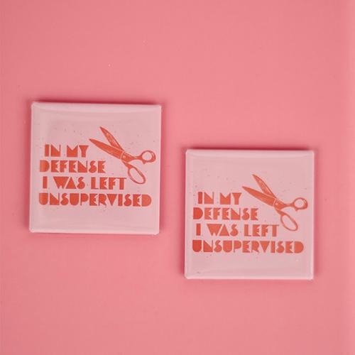 Magnet | In my Defense | 2 count