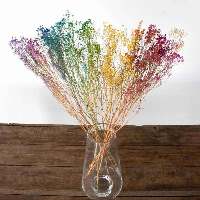 Mixed Color Dried Baby's Breath Flower