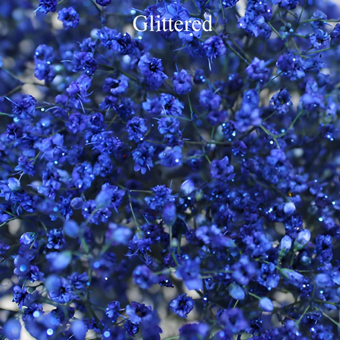 Royal Blue Airbrushed Baby's Breath Flower