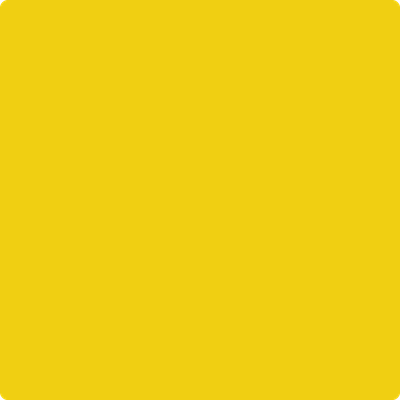 2023-20: Baby Chick  a paint color by Benjamin Moore avaiable at Clement's Paint in Austin, TX.