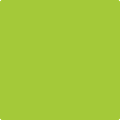 2026-20: Margarita  a paint color by Benjamin Moore avaiable at Clement's Paint in Austin, TX.