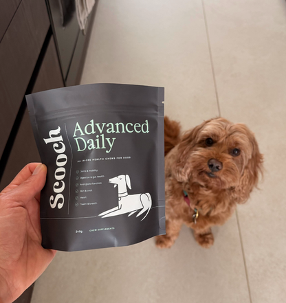 Advanced Daily