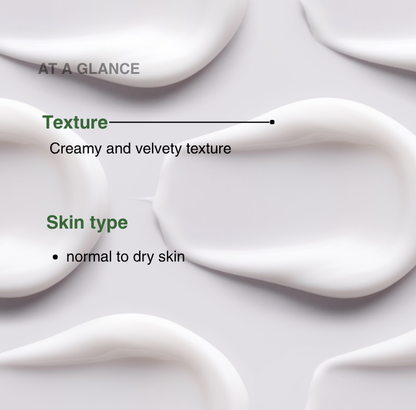 ALOE + HA MOISTURIZER CREAM - The ALOELAB