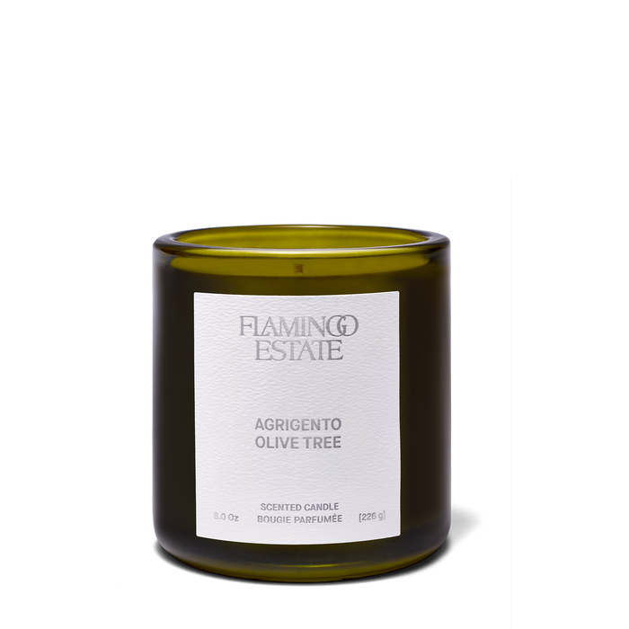 Ancient Agrigento Olive Tree Candle - Home Fragrance by Carlyle Avenue