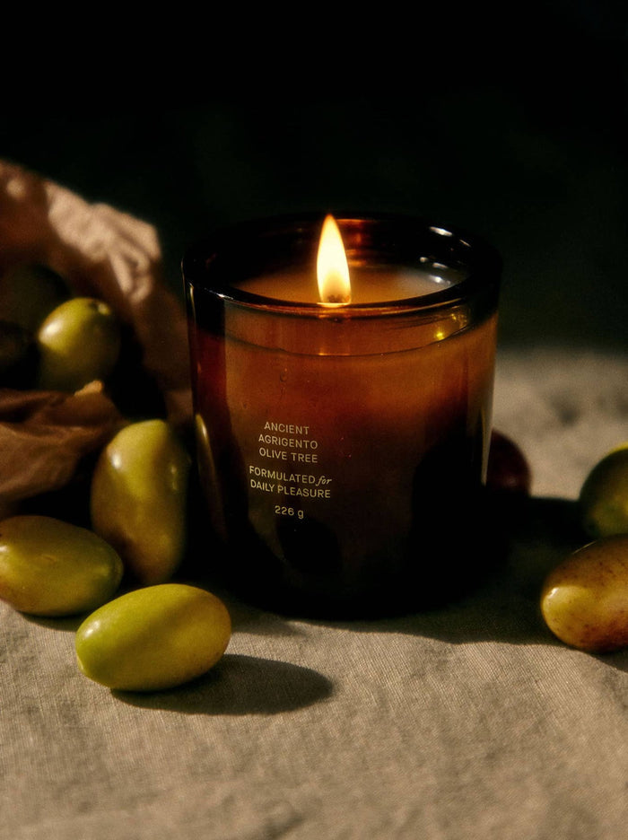 Ancient Agrigento Olive Tree Candle - Home Fragrance by Carlyle Avenue