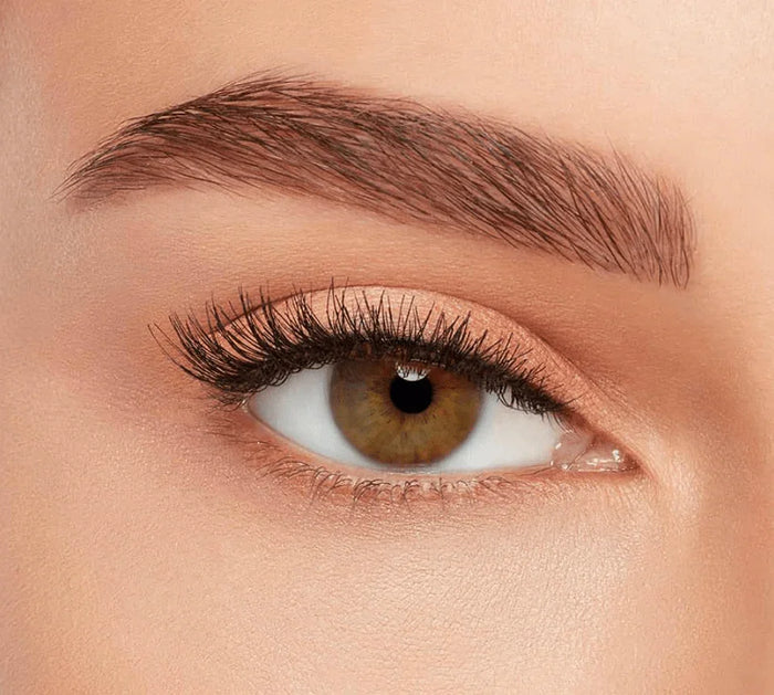 Close-up of an eye with natural-looking, wispy false eyelashes and groomed eyebrow