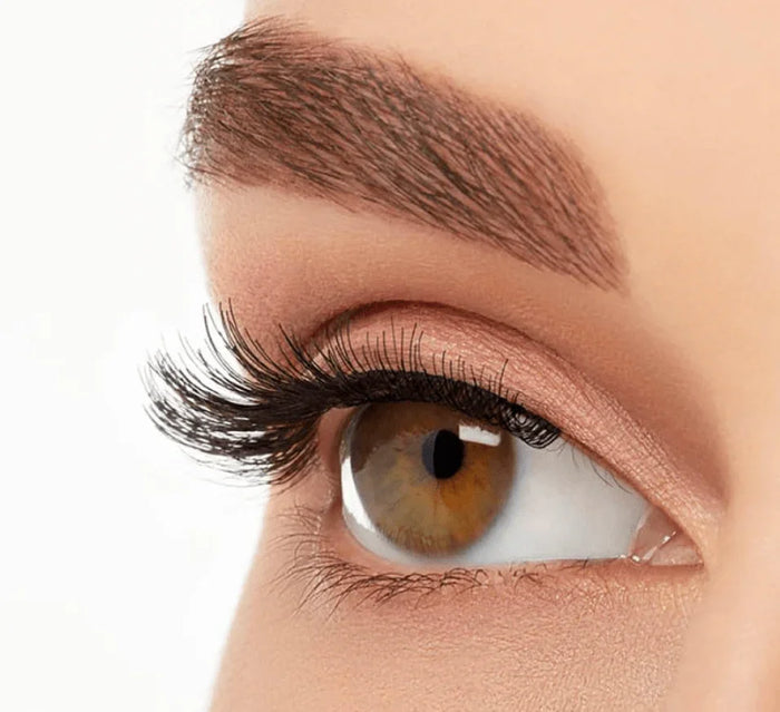 Close-up of brown eye wearing light volume, short length false eyelashes for a natural look.