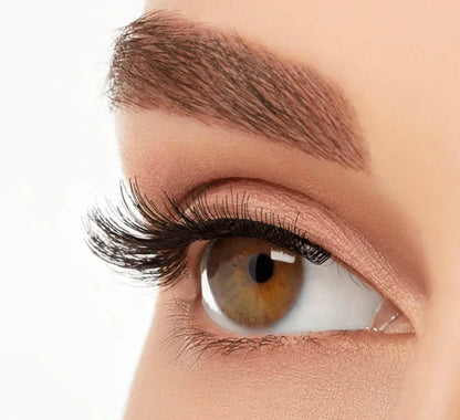 Close-up of brown eye wearing light volume, short length false eyelashes for a natural look.