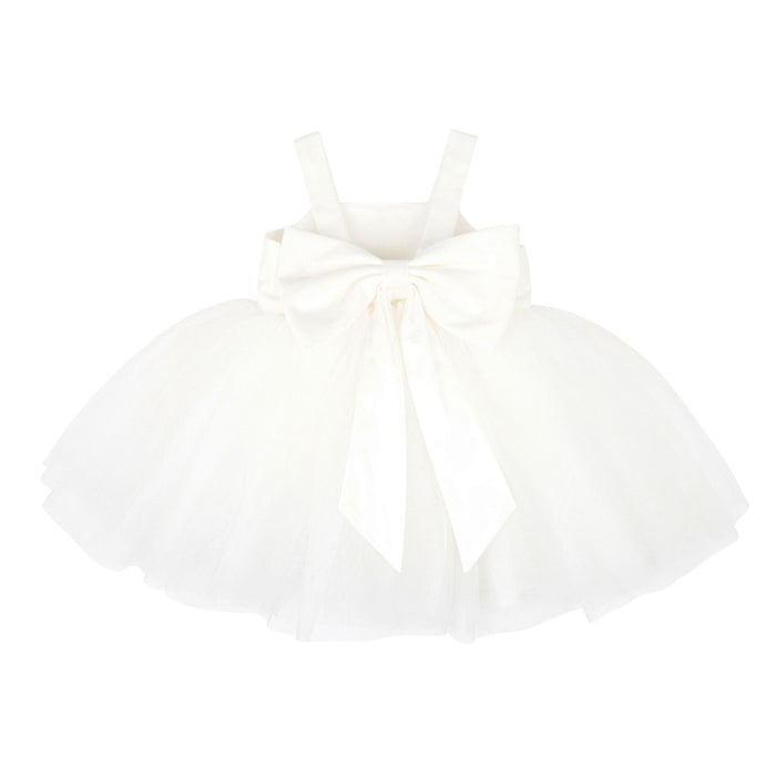 Bebe Embroidered Bodice Tulle Dress
