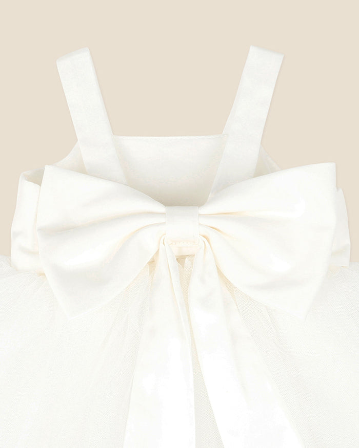 Bebe Embroidered Bodice Tulle Dress