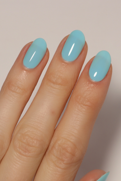 Blue Bird Polish