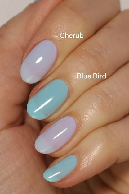 Blue Bird Polish