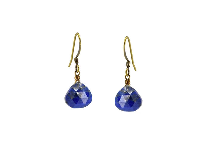 Blue Lapis Simple Classic Earrings
