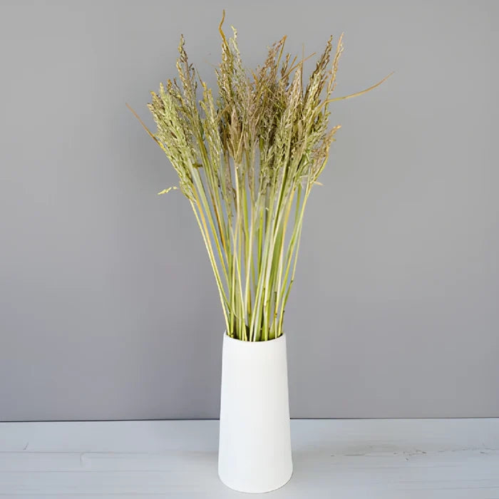 Bulk greenery broomcorn autumn grass filler flowers sold for delivery