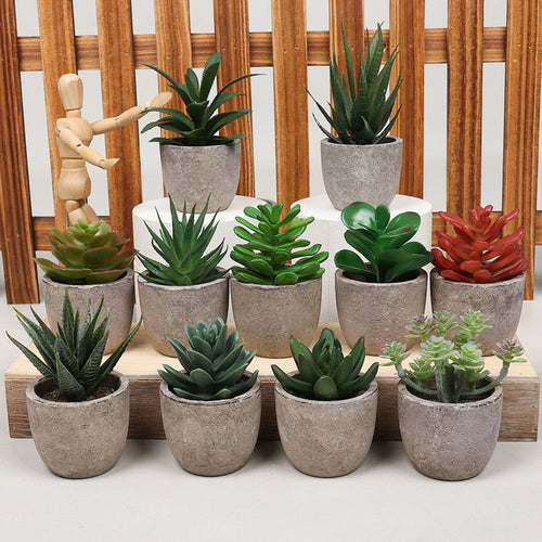 Bulk Mini Artificial Succulents Potted Greenery in Vase Decoration Wholesale