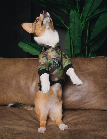 Camo Dog Hoodie