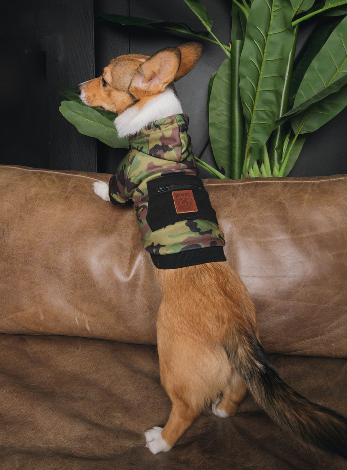 Camo Dog Hoodie