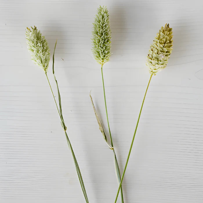 Wedding greenery canary wholesale bulk filler flowers sold near me