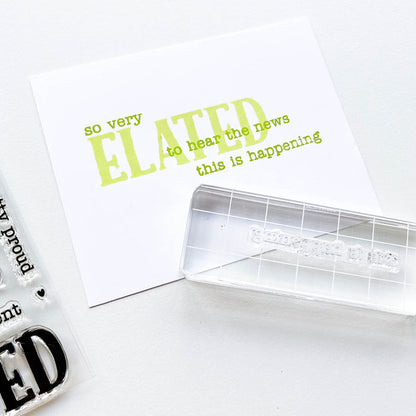 Catherine Pooler - Sentiments Stamp Set - So Very Elated. The news is great...share in their excitement with the So Very Elated 3x4 Sentiments Stamp Set. Available at Embellish Away located in Bowmanville Ontario Canada.