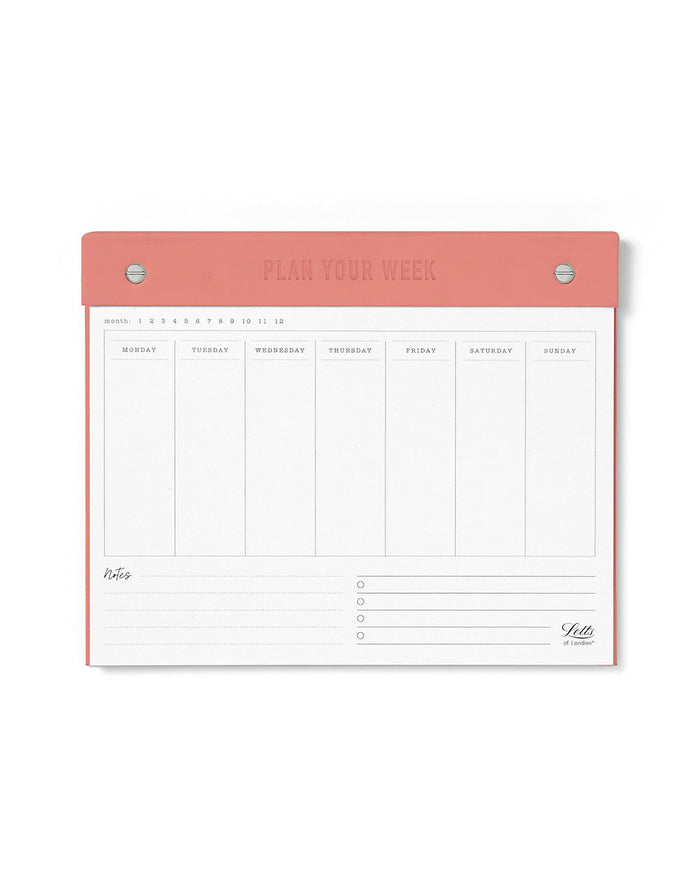 Conscious Weekly Planner Sage #color_clay