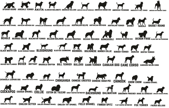 Dog Personalized Stationery Set, Dog Note Cards