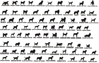 Dog Personalized Stationery Set, Dog Note Cards