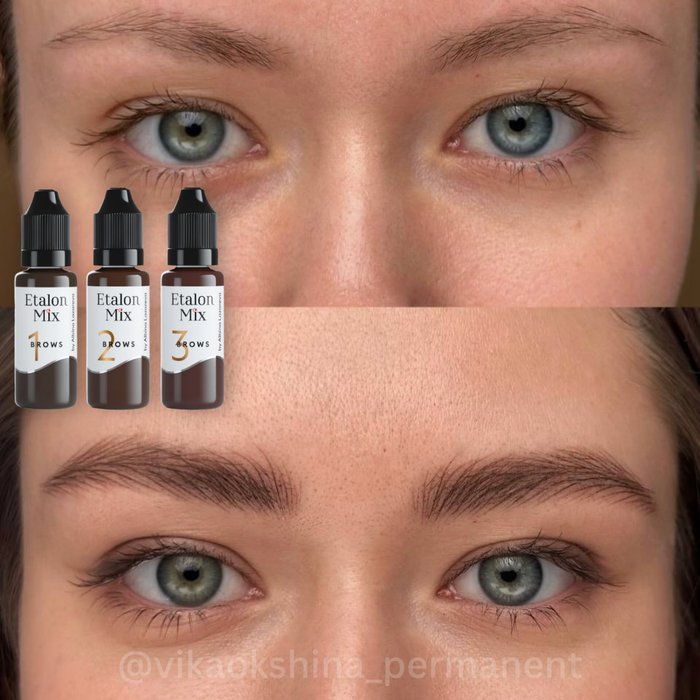 Etalon Mix  Hybrid Brow Pigments Mini Set 5 ml Supreme Permanent