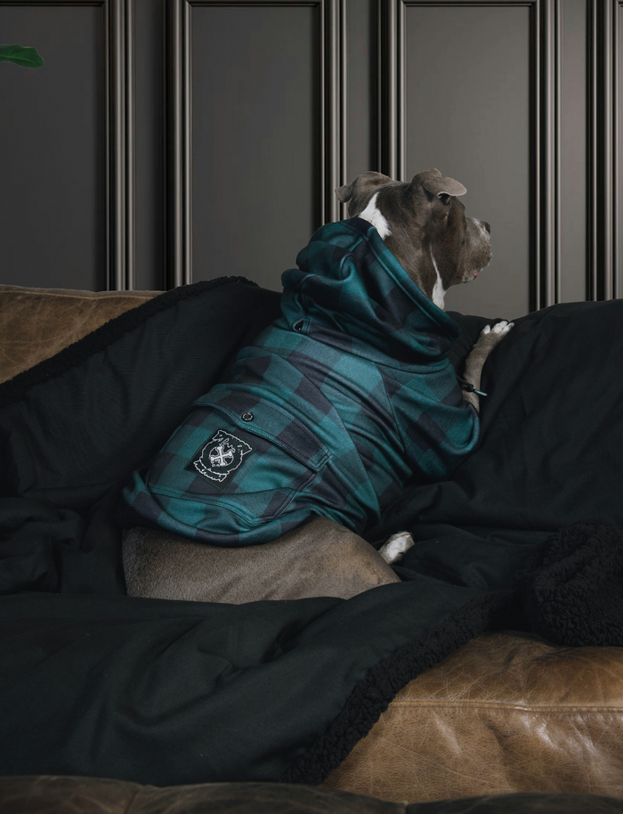 Evergreen Dog Hoodie