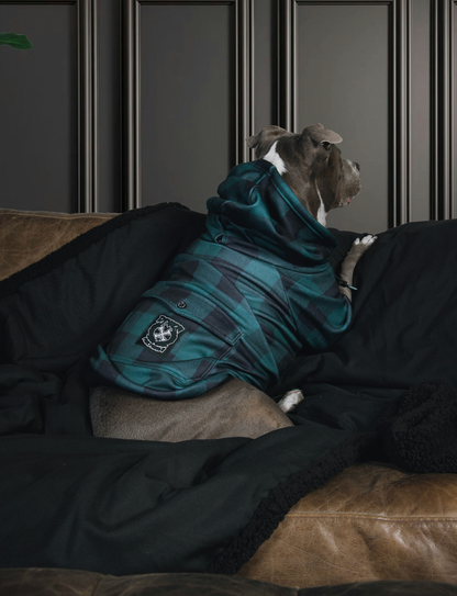 Evergreen Dog Hoodie