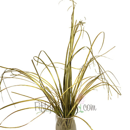 Wholesale greenery gold bear grass filler flower bunch sold as bulk