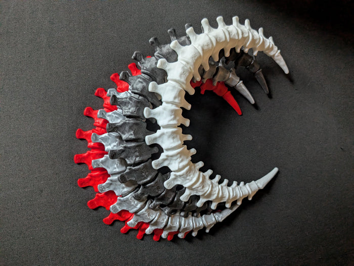 Gothic Anatomy Spine Wall Sculpture - Customizable Elegant Weird Bone Structure