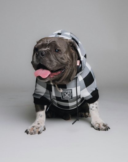 Gringo Dog Hoodie